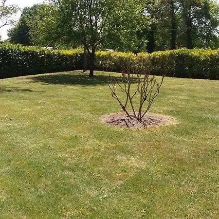 La Maison D'ete De Mes Parents