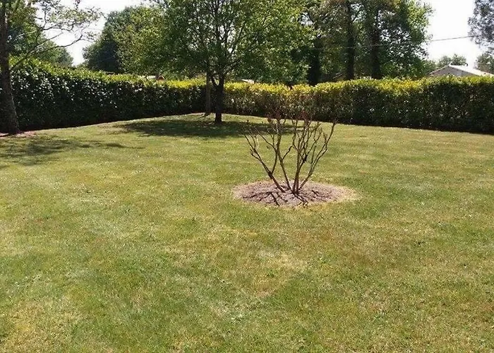 La Maison D'ete De Mes Parents