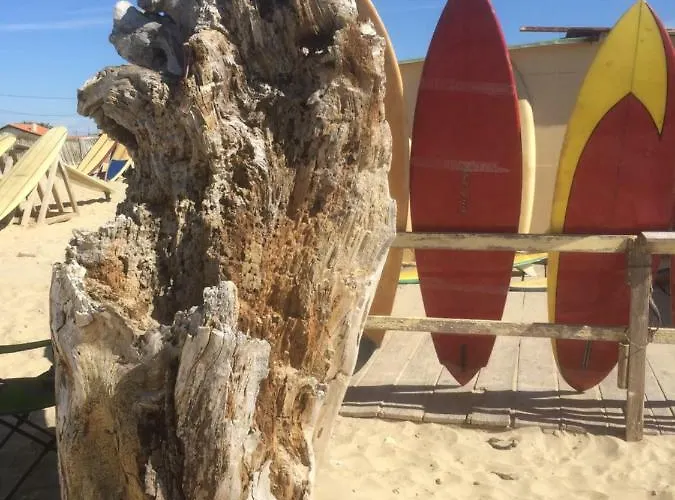 La Maison D'ete De Mes Parents * Vendays-Montalivet